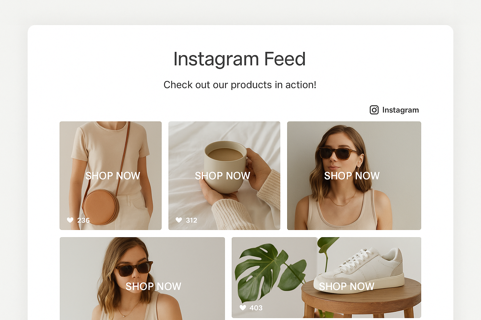 E-commerce website section showing Instagram feed gallery with product images in grid layout, Instagram styling, and shop now buttons on light background